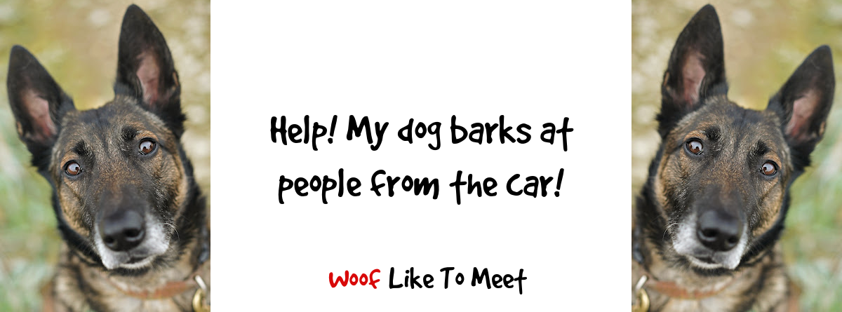 How to Stop a Dog From Barking When People Stand Up: Dog Gone Problems